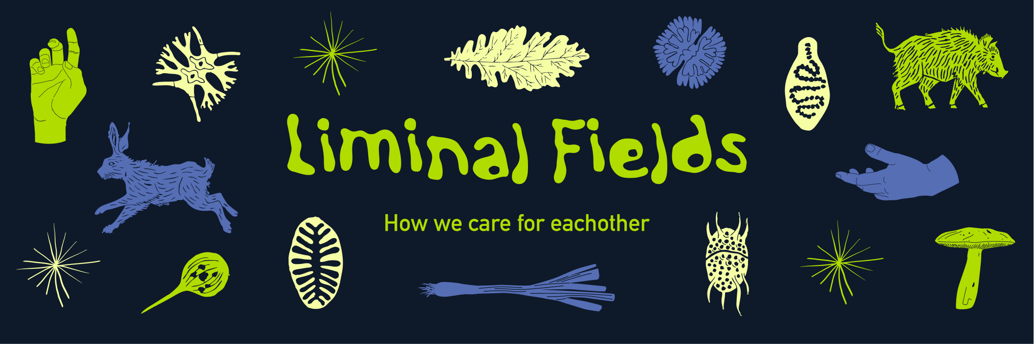 Liminal Fields Festival